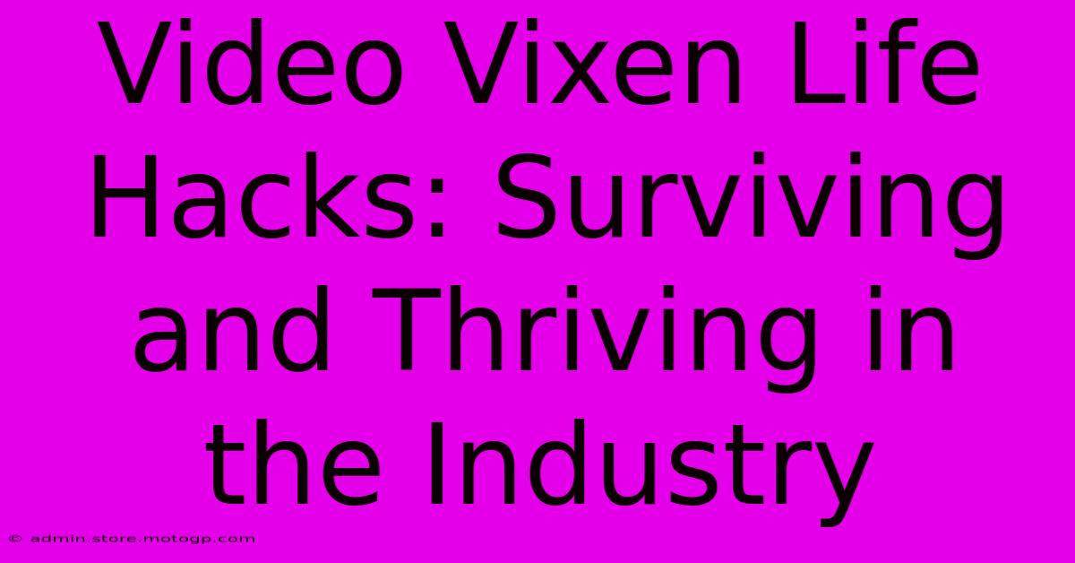 Video Vixen Life Hacks: Surviving And Thriving In The Industry