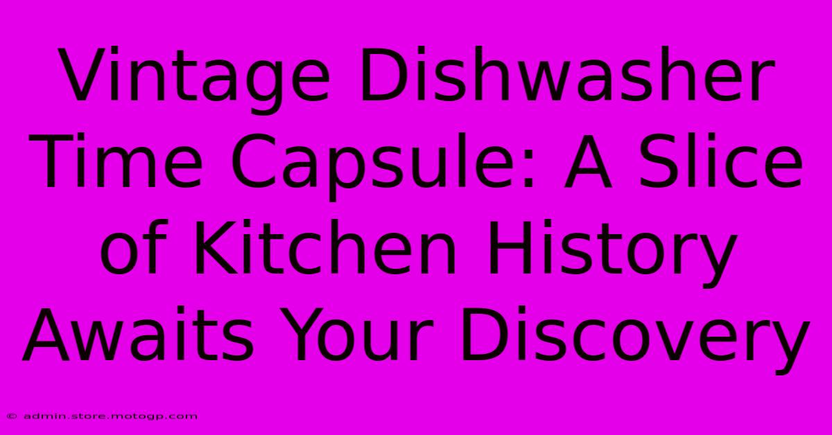 Vintage Dishwasher Time Capsule: A Slice Of Kitchen History Awaits Your Discovery