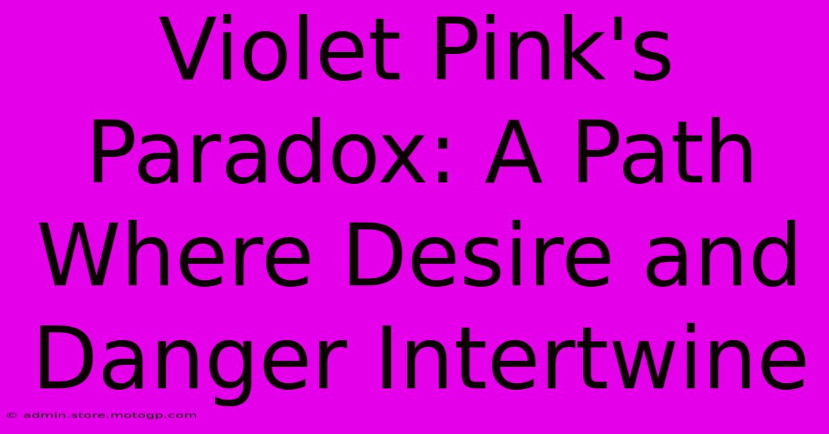 Violet Pink's Paradox: A Path Where Desire And Danger Intertwine