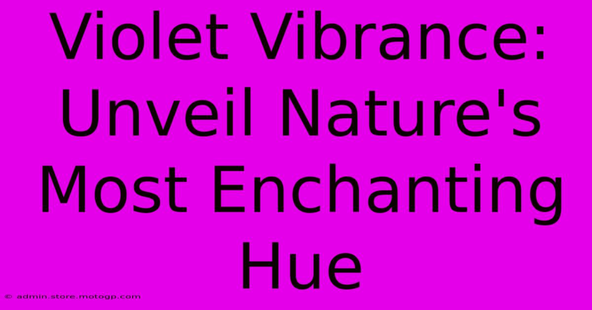 Violet Vibrance: Unveil Nature's Most Enchanting Hue