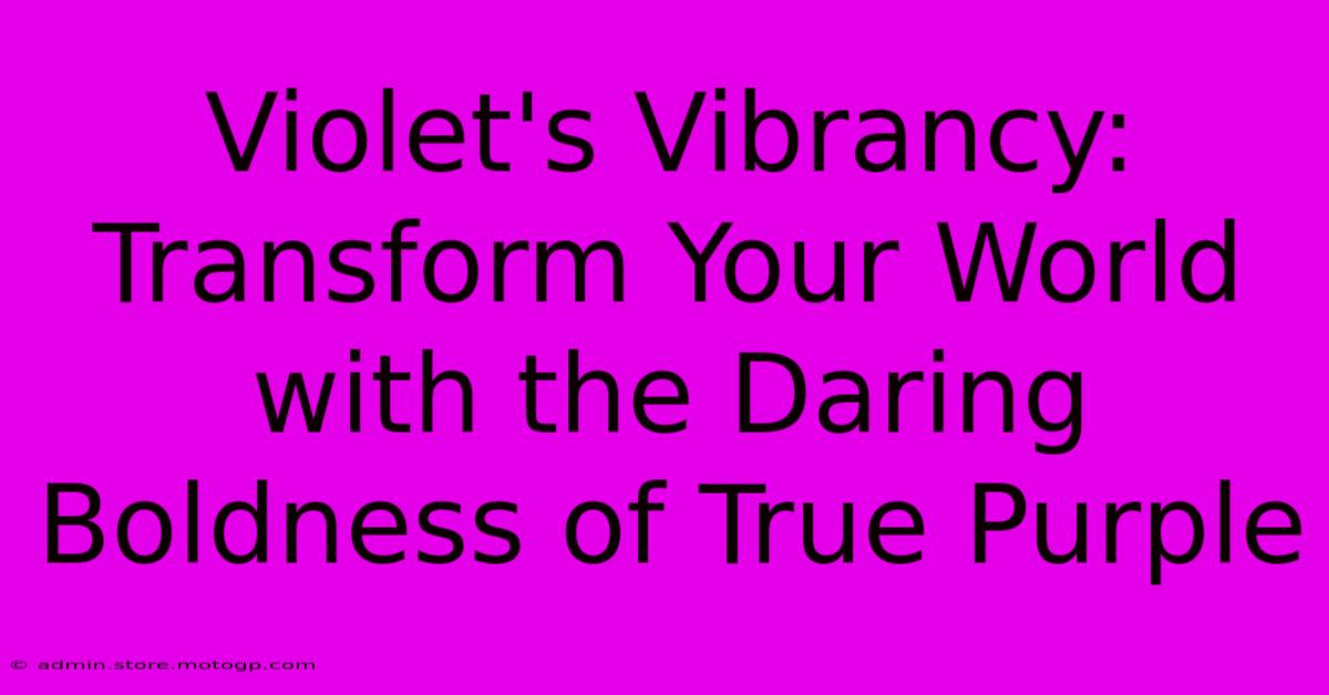 Violet's Vibrancy: Transform Your World With The Daring Boldness Of True Purple