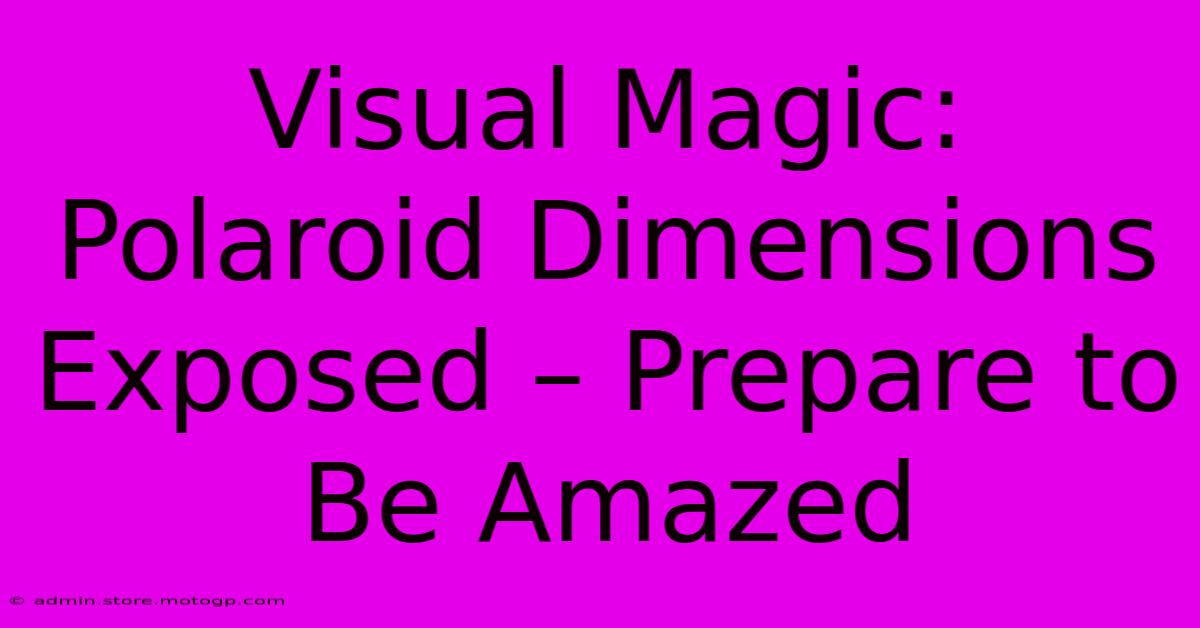 Visual Magic: Polaroid Dimensions Exposed – Prepare To Be Amazed