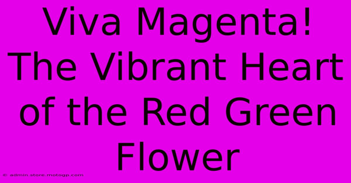 Viva Magenta! The Vibrant Heart Of The Red Green Flower