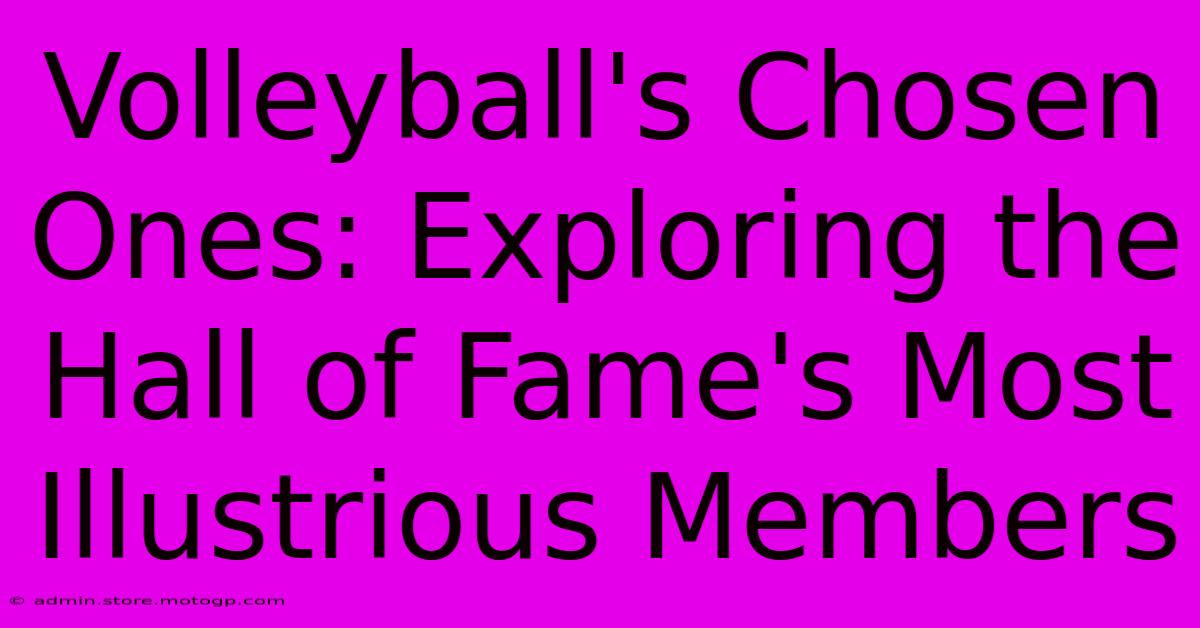 Volleyball's Chosen Ones: Exploring The Hall Of Fame's Most Illustrious Members