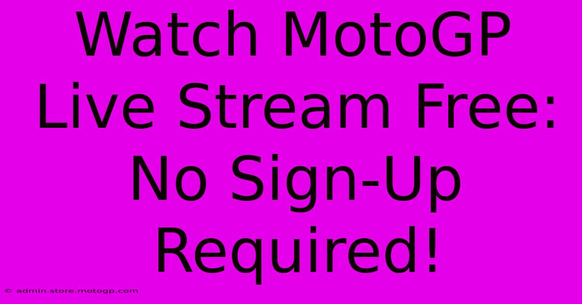 Watch MotoGP Live Stream Free: No Sign-Up Required!