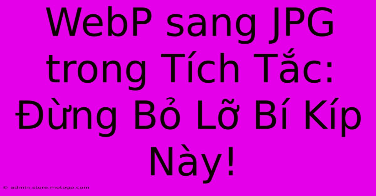 WebP Sang JPG Trong Tích Tắc: Đừng Bỏ Lỡ Bí Kíp Này!