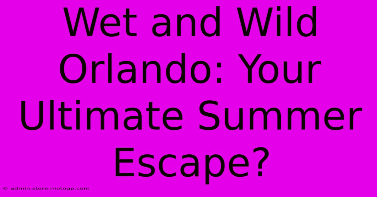 Wet And Wild Orlando: Your Ultimate Summer Escape?