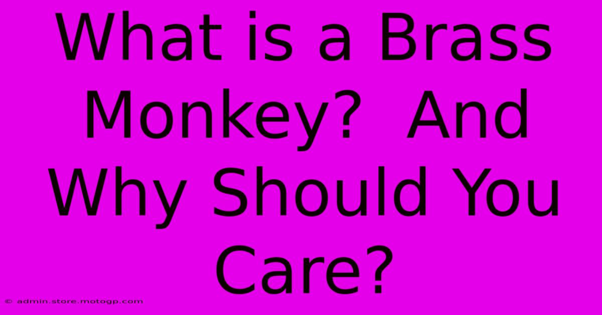 What Is A Brass Monkey?  And Why Should You Care?