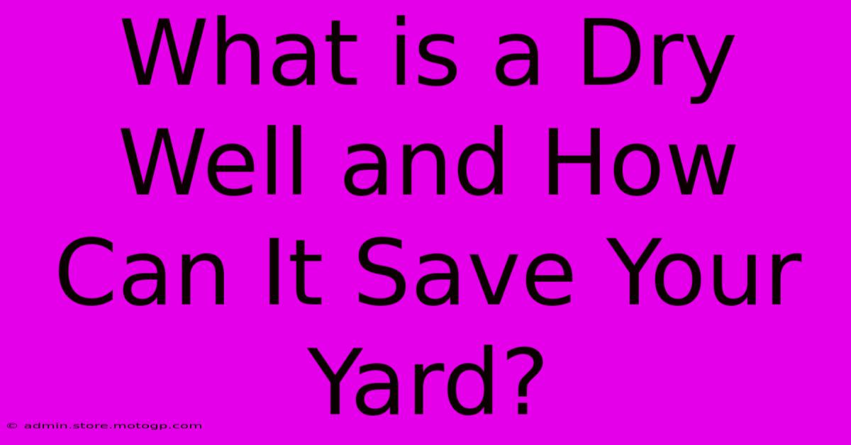 What Is A Dry Well And How Can It Save Your Yard?