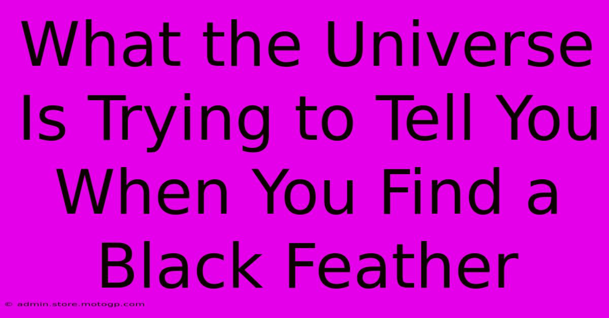 What The Universe Is Trying To Tell You When You Find A Black Feather