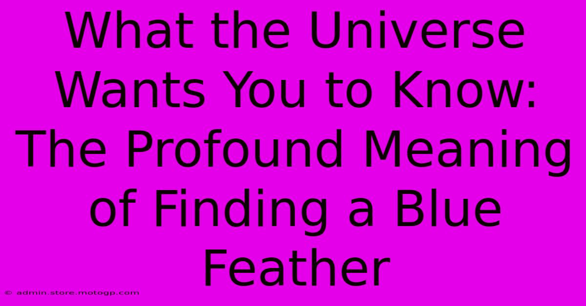 What The Universe Wants You To Know: The Profound Meaning Of Finding A Blue Feather