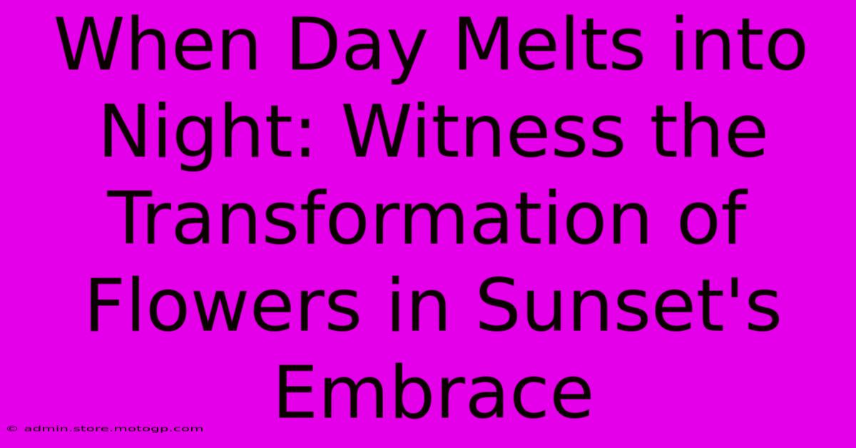 When Day Melts Into Night: Witness The Transformation Of Flowers In Sunset's Embrace