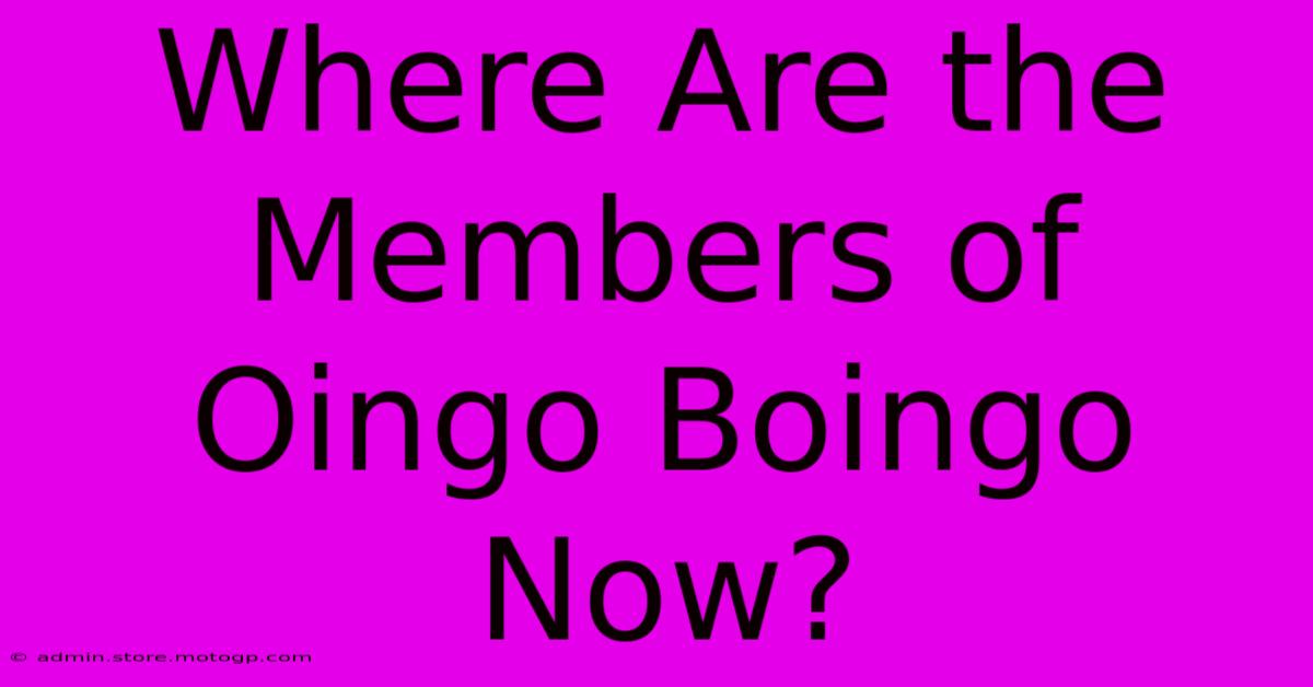 Where Are The Members Of Oingo Boingo Now?