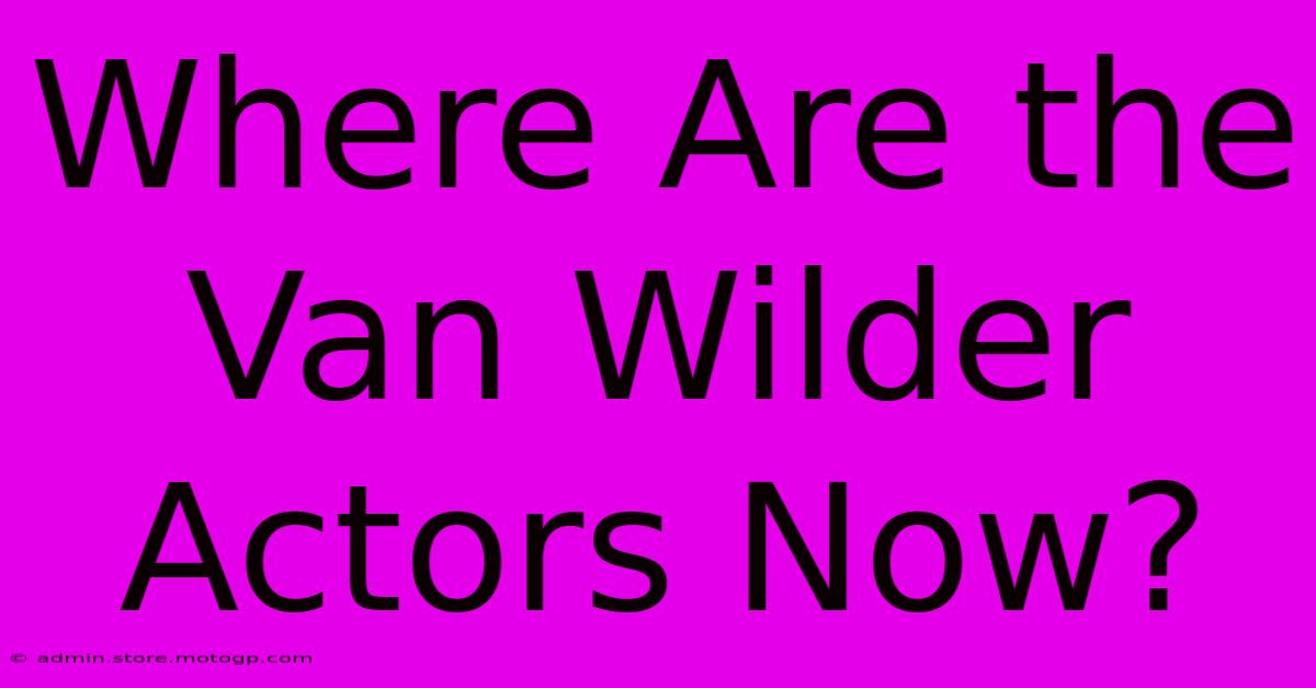 Where Are The Van Wilder Actors Now?