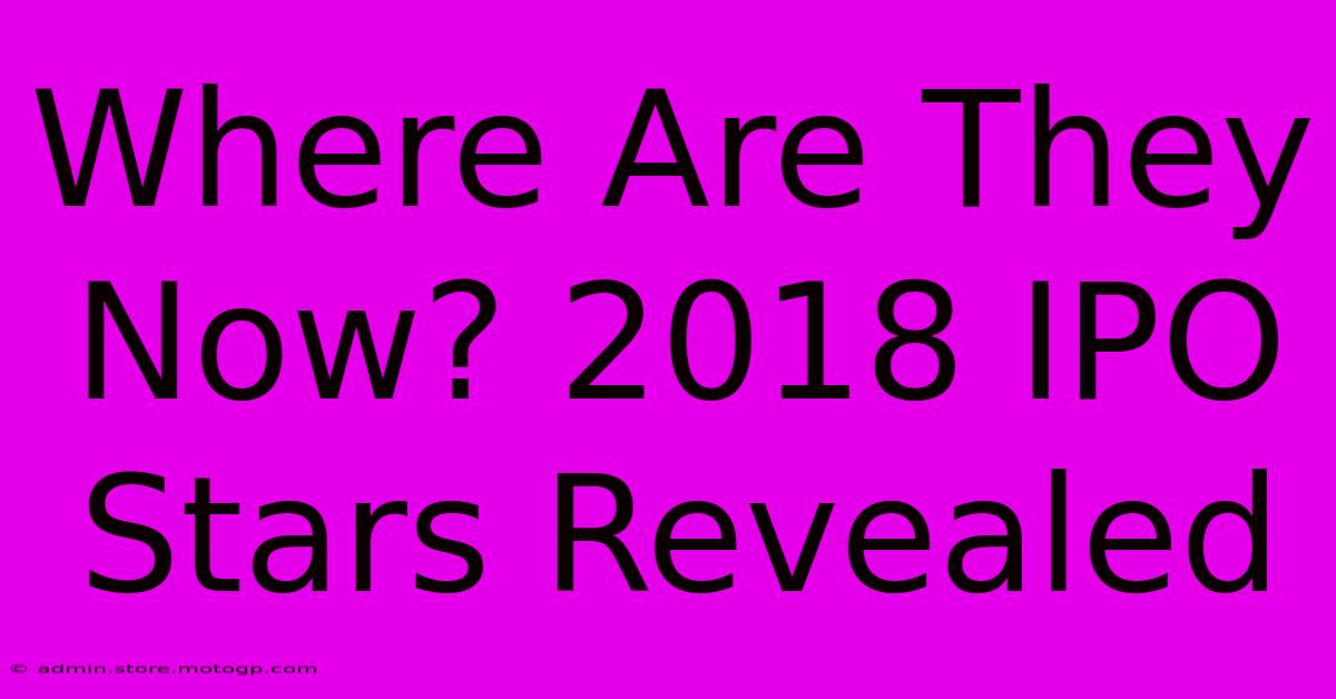 Where Are They Now? 2018 IPO Stars Revealed