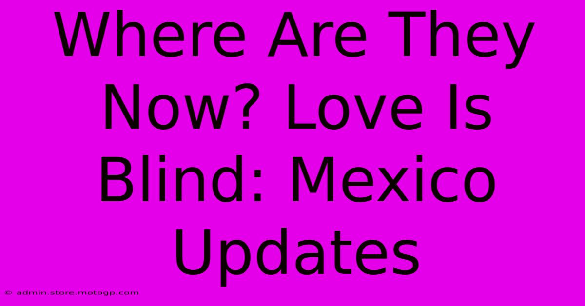 Where Are They Now? Love Is Blind: Mexico Updates