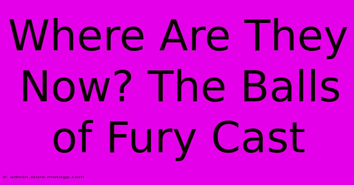 Where Are They Now? The Balls Of Fury Cast