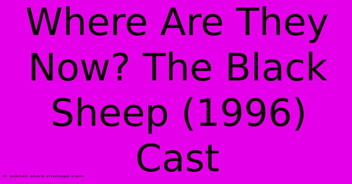 Where Are They Now? The Black Sheep (1996) Cast