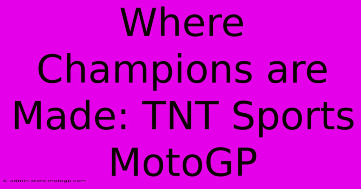 Where Champions Are Made: TNT Sports MotoGP