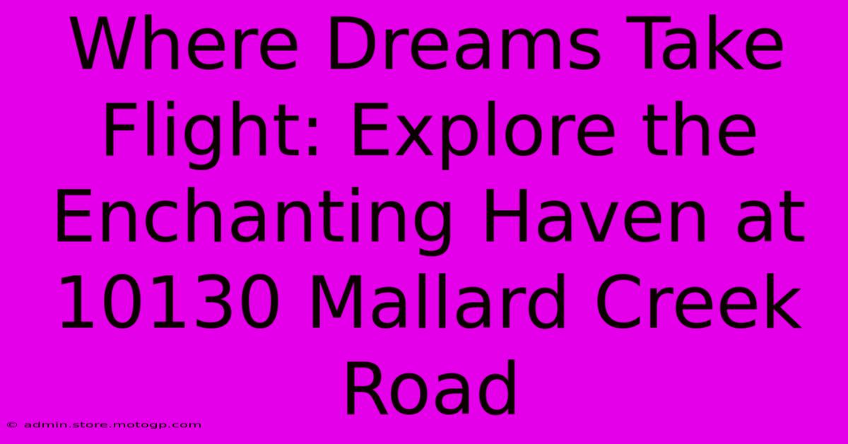 Where Dreams Take Flight: Explore The Enchanting Haven At 10130 Mallard Creek Road