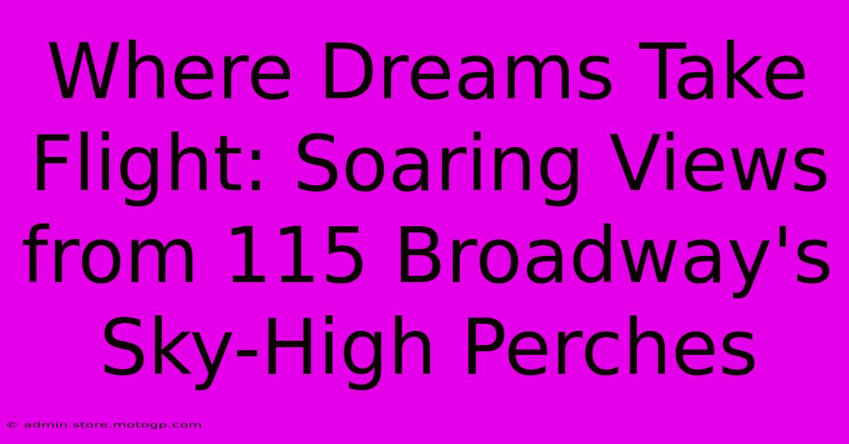 Where Dreams Take Flight: Soaring Views From 115 Broadway's Sky-High Perches