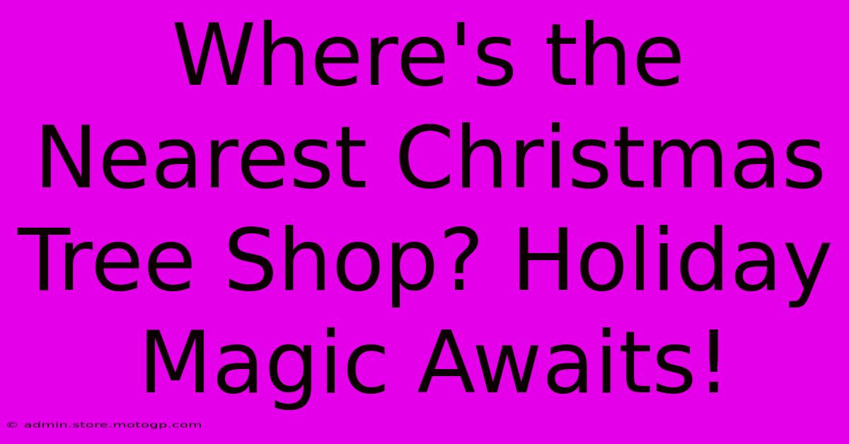 Where's The Nearest Christmas Tree Shop? Holiday Magic Awaits!