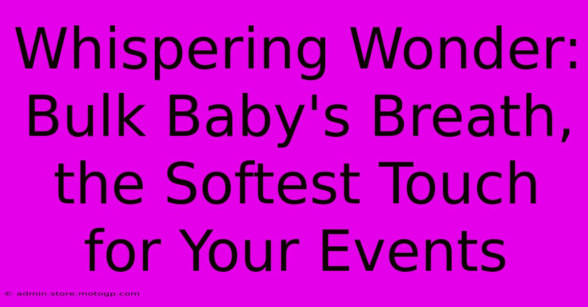 Whispering Wonder: Bulk Baby's Breath, The Softest Touch For Your Events