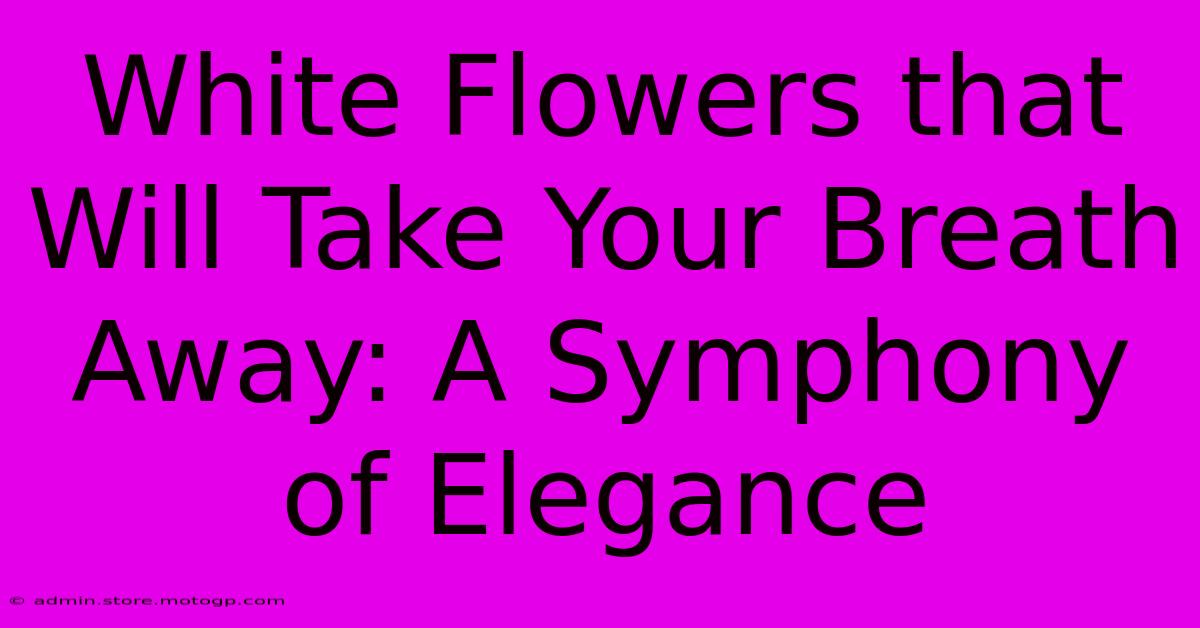 White Flowers That Will Take Your Breath Away: A Symphony Of Elegance