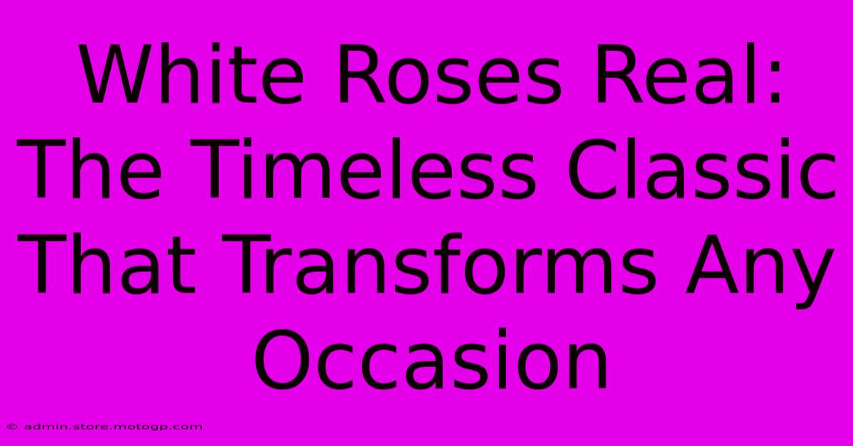 White Roses Real: The Timeless Classic That Transforms Any Occasion