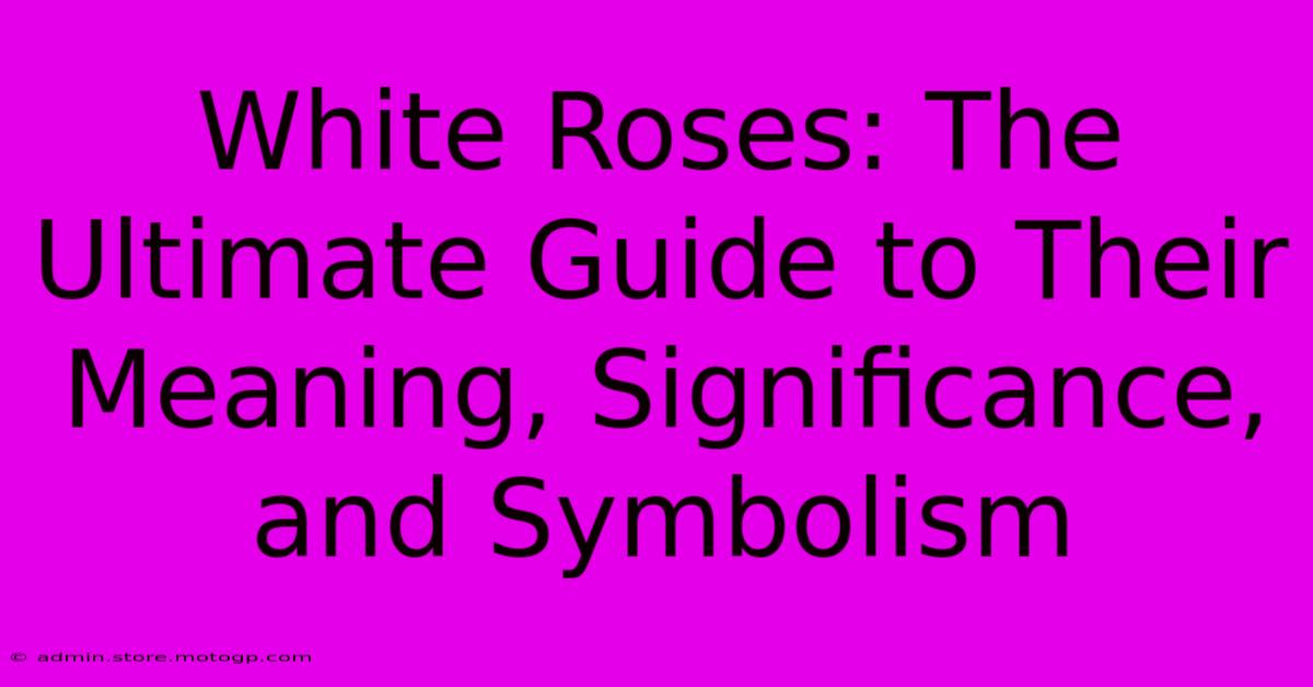 White Roses: The Ultimate Guide To Their Meaning, Significance, And Symbolism