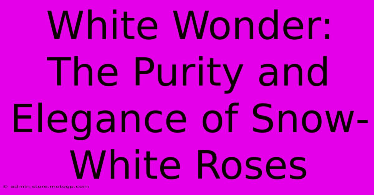 White Wonder: The Purity And Elegance Of Snow-White Roses