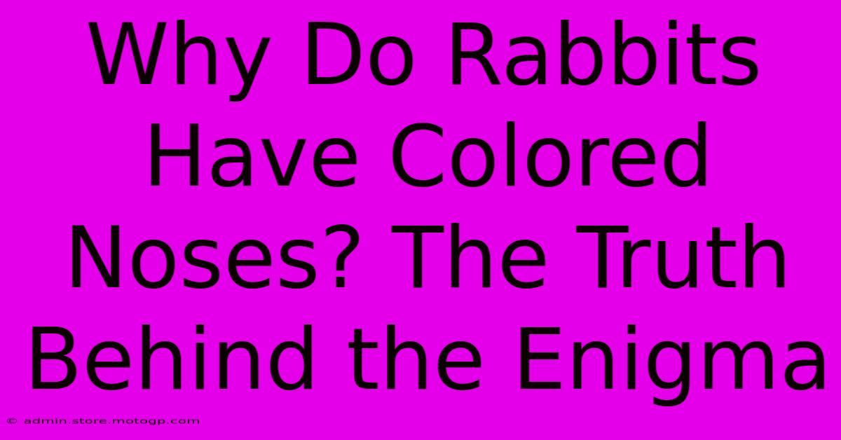 Why Do Rabbits Have Colored Noses? The Truth Behind The Enigma