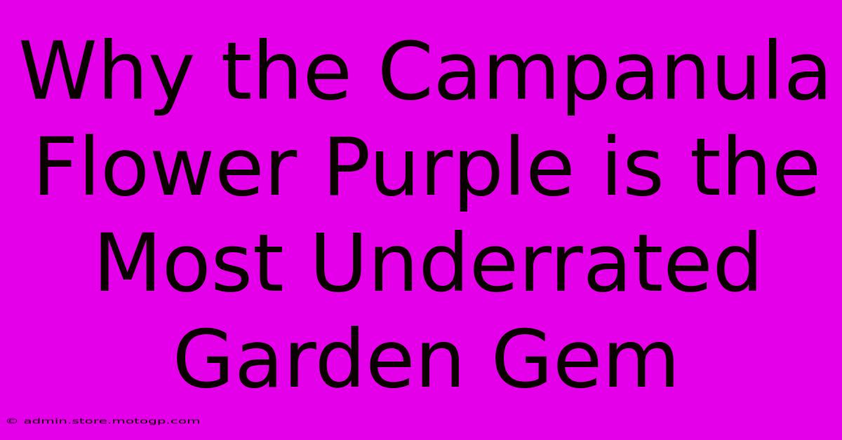 Why The Campanula Flower Purple Is The Most Underrated Garden Gem