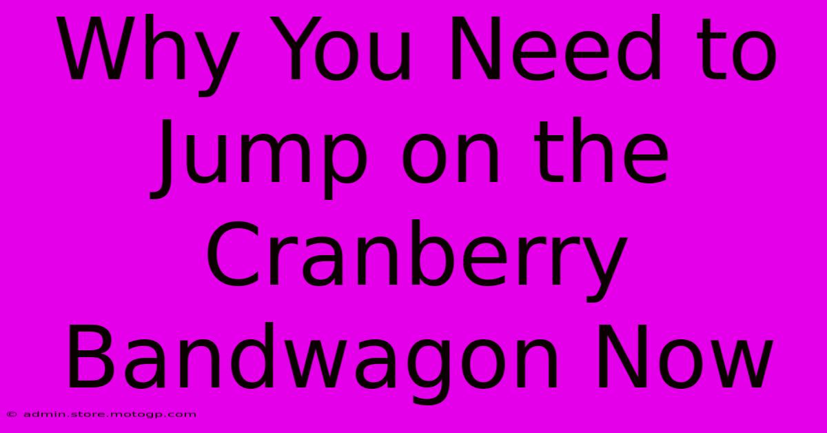 Why You Need To Jump On The Cranberry Bandwagon Now