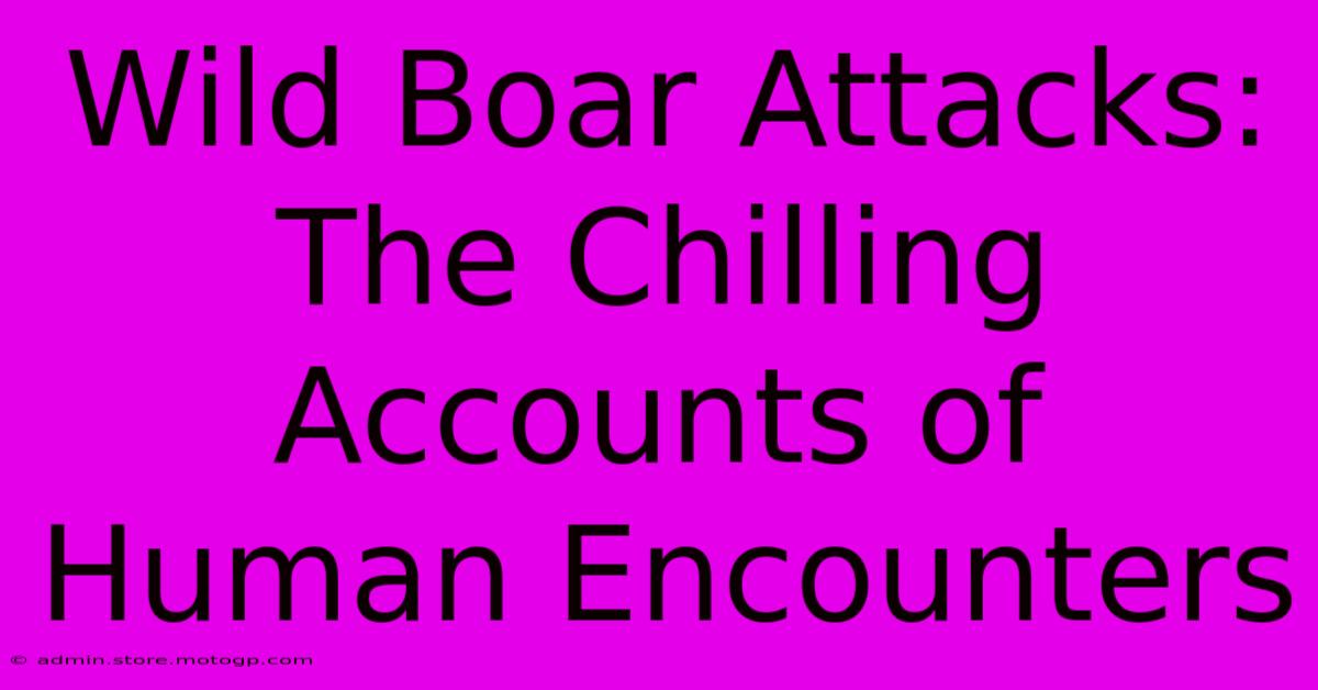 Wild Boar Attacks: The Chilling Accounts Of Human Encounters