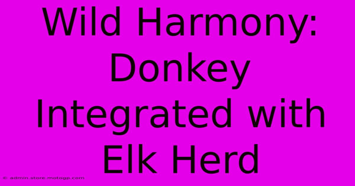 Wild Harmony: Donkey Integrated With Elk Herd