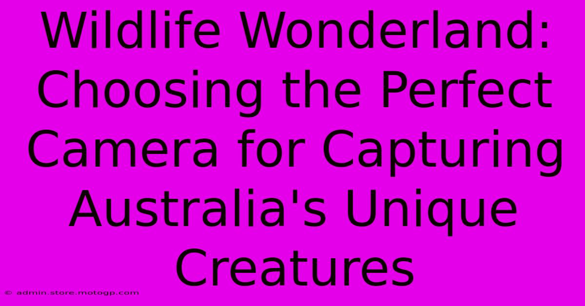 Wildlife Wonderland: Choosing The Perfect Camera For Capturing Australia's Unique Creatures