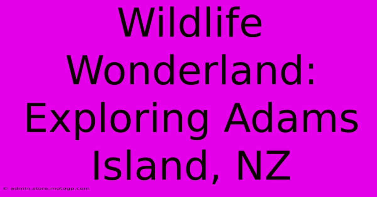 Wildlife Wonderland: Exploring Adams Island, NZ