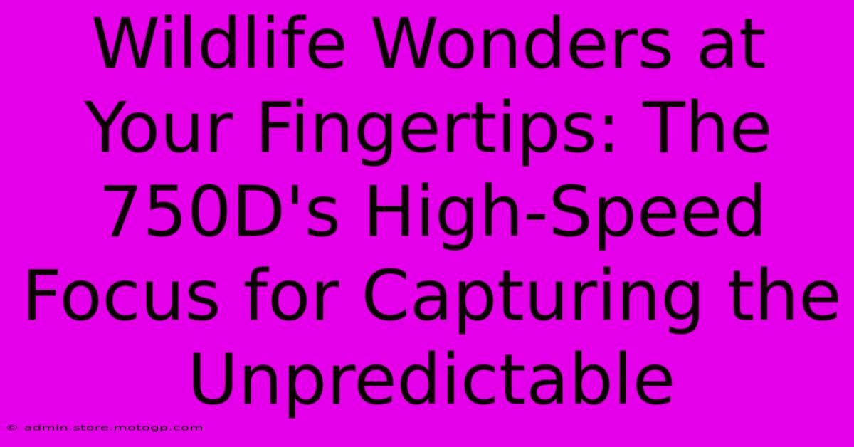 Wildlife Wonders At Your Fingertips: The 750D's High-Speed Focus For Capturing The Unpredictable