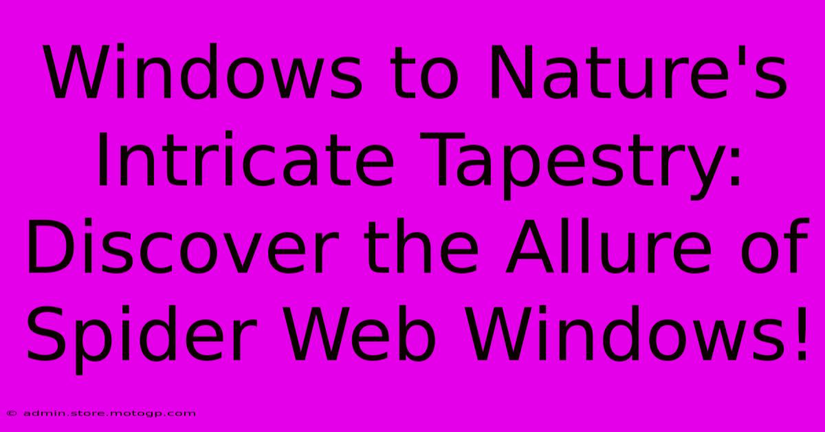 Windows To Nature's Intricate Tapestry: Discover The Allure Of Spider Web Windows!