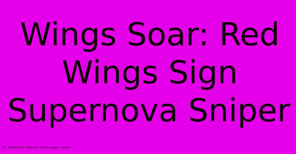 Wings Soar: Red Wings Sign Supernova Sniper