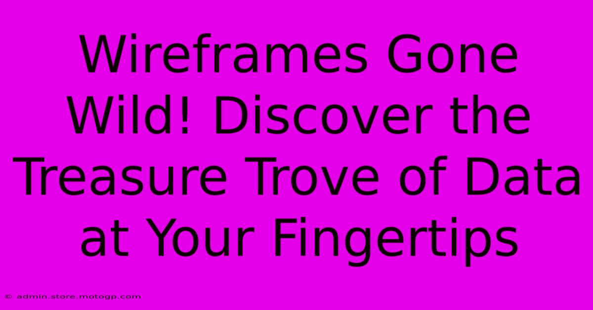 Wireframes Gone Wild! Discover The Treasure Trove Of Data At Your Fingertips