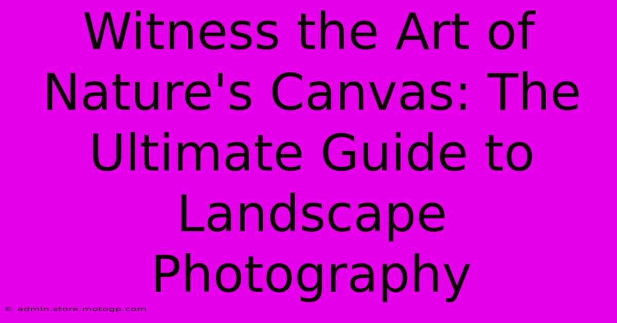 Witness The Art Of Nature's Canvas: The Ultimate Guide To Landscape Photography