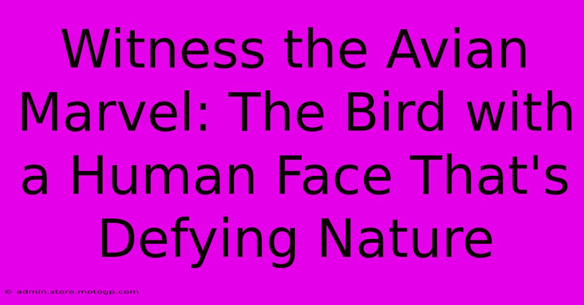 Witness The Avian Marvel: The Bird With A Human Face That's Defying Nature