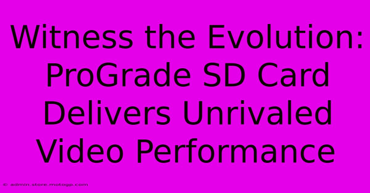 Witness The Evolution: ProGrade SD Card Delivers Unrivaled Video Performance