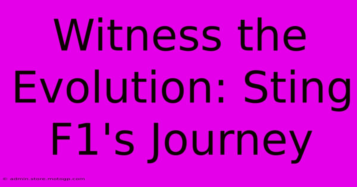 Witness The Evolution: Sting F1's Journey
