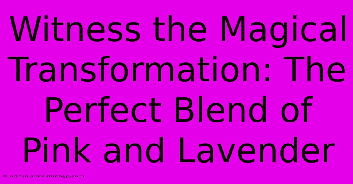 Witness The Magical Transformation: The Perfect Blend Of Pink And Lavender