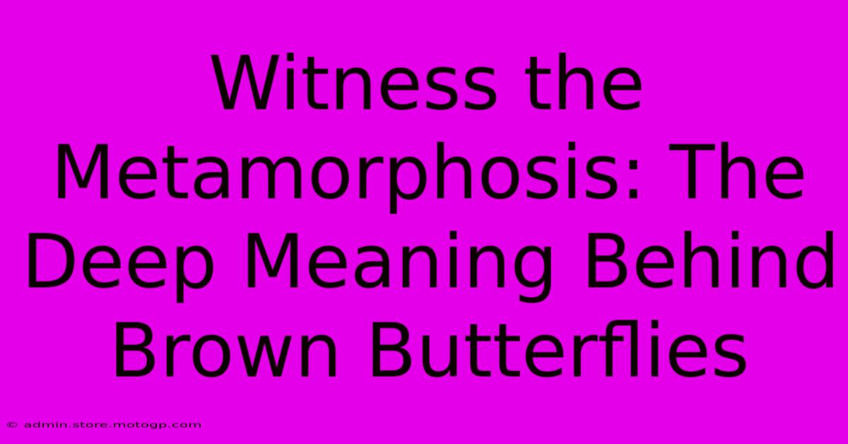 Witness The Metamorphosis: The Deep Meaning Behind Brown Butterflies