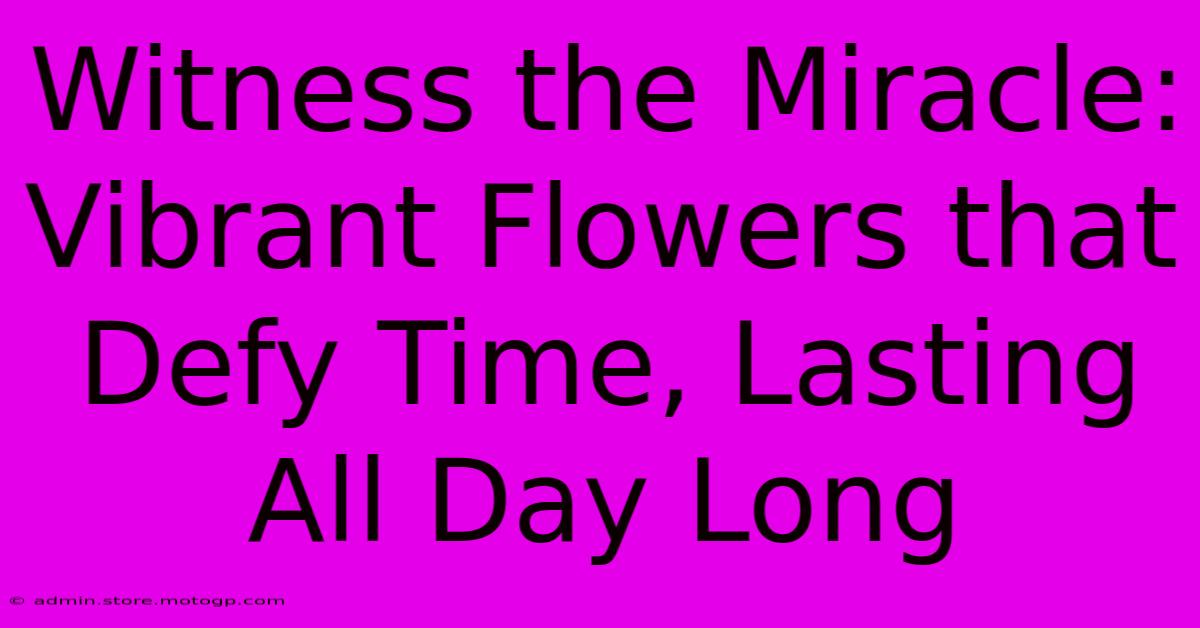 Witness The Miracle: Vibrant Flowers That Defy Time, Lasting All Day Long