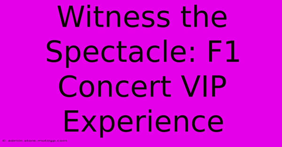 Witness The Spectacle: F1 Concert VIP Experience